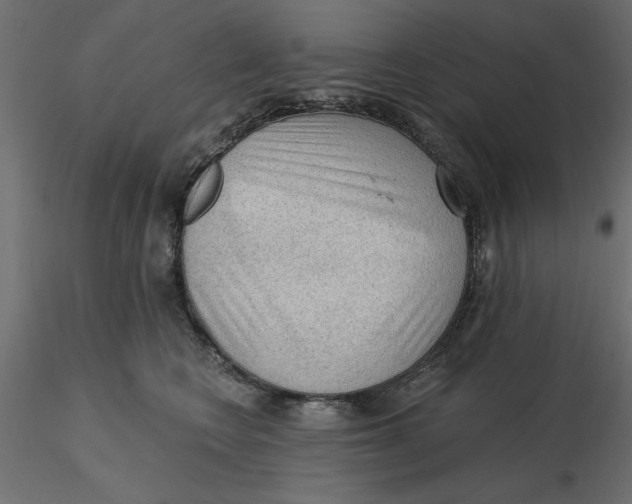 X0000116570566200912311956