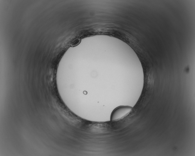 X0000116570567200912311956