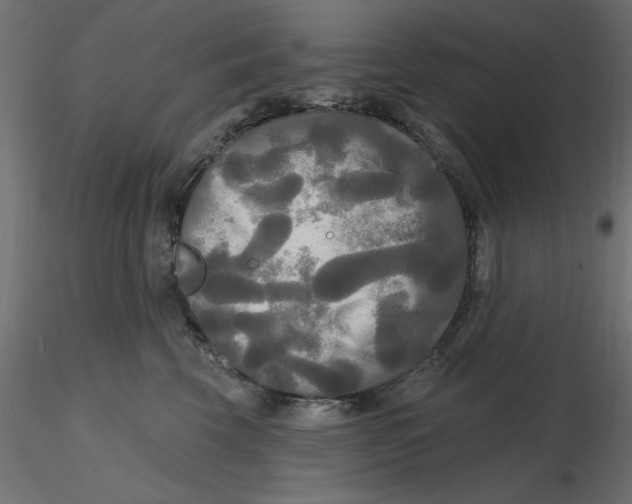 X0000116570569200912311956