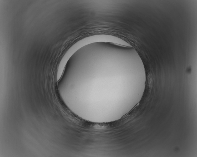 X0000116570570200912311956