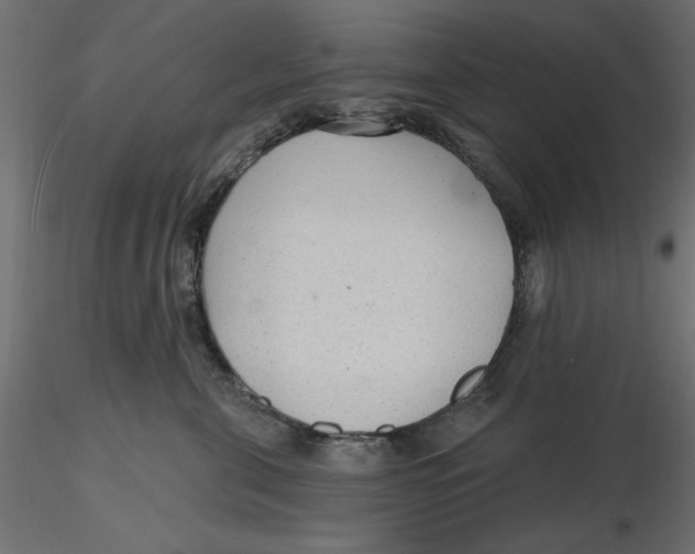 X0000116570571200912311956