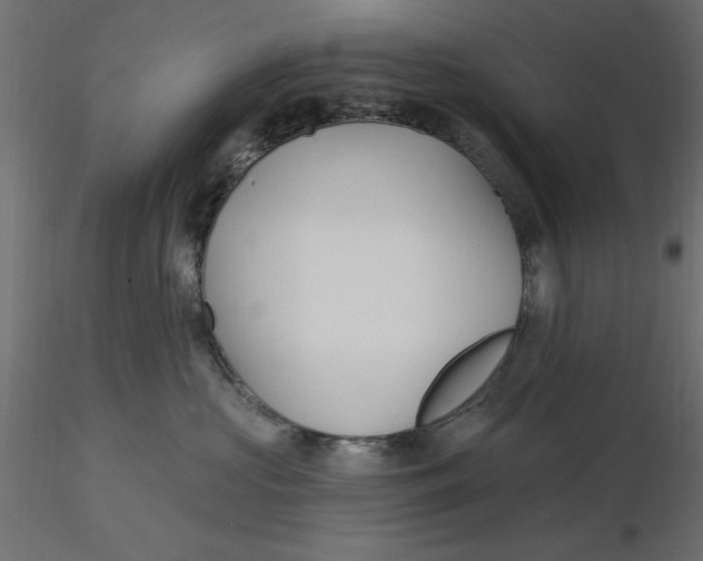 X0000116570573200912311956