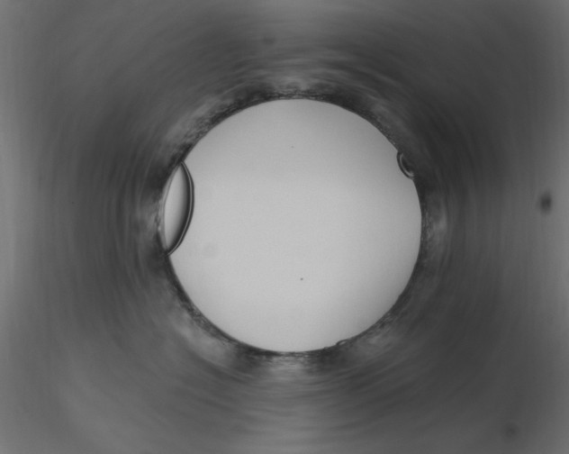 X0000116570574200912311956