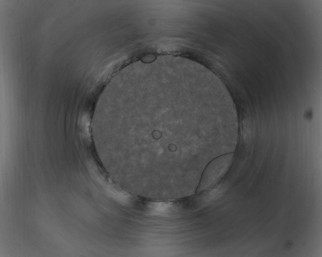 X0000116570575200912311956