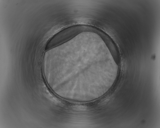 X0000116570577200912311955