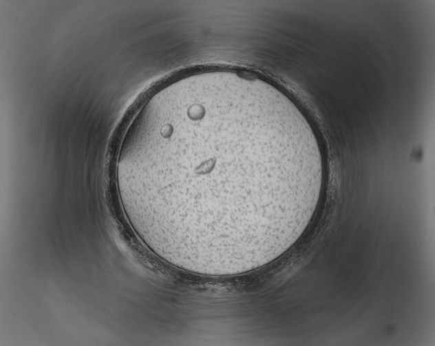 X0000116570580200912311955