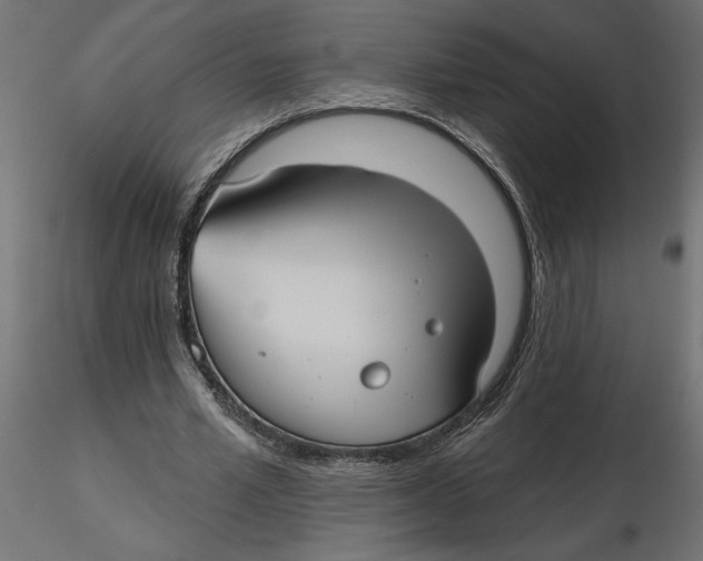 X0000116570581200912311955