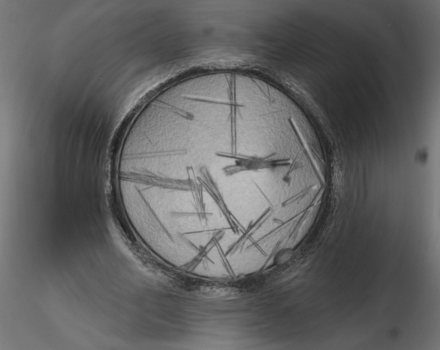 X0000116570582200912311955