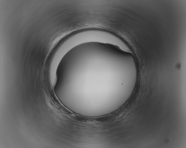 X0000116570583200912311955