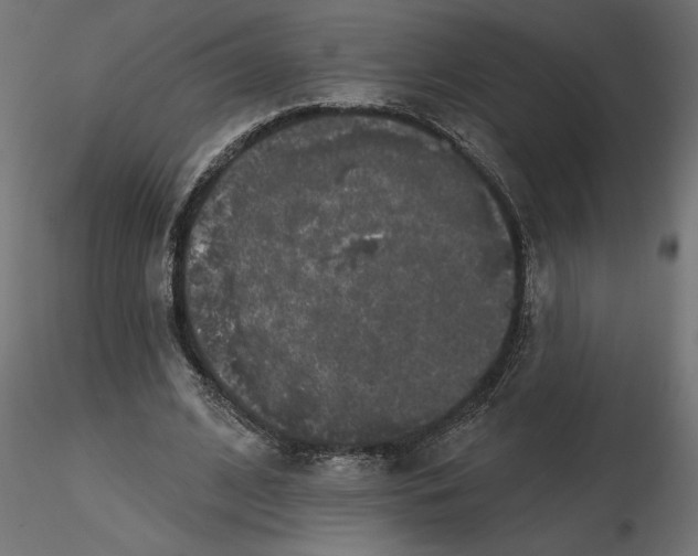 X0000116570584200912311955