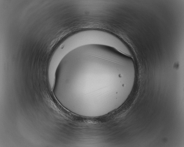 X0000116570585200912311955