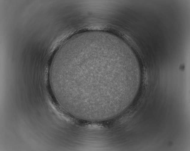 X0000116570586200912311955