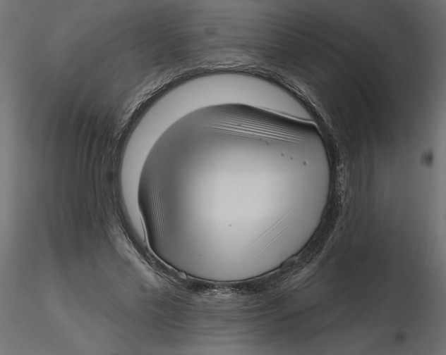 X0000116570589200912311955