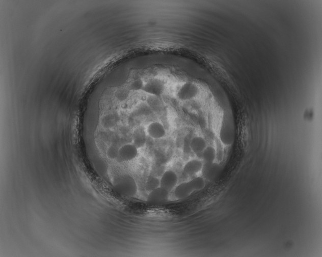 X0000116570591200912311955