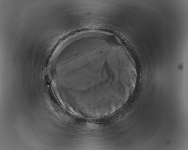 X0000116570592200912311955