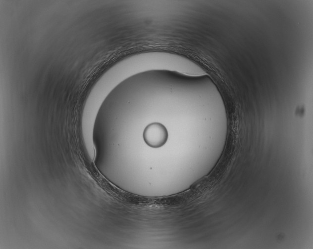 X0000116570593200912311955