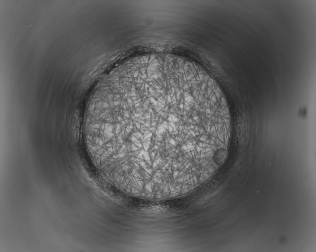 X0000116570594200912311955