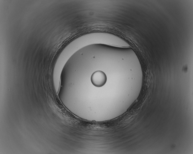 X0000116570597200912311955