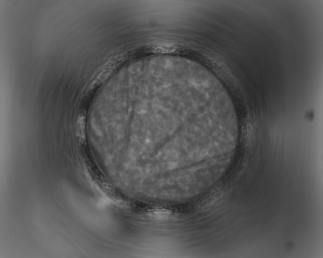 X0000116570598200912311955