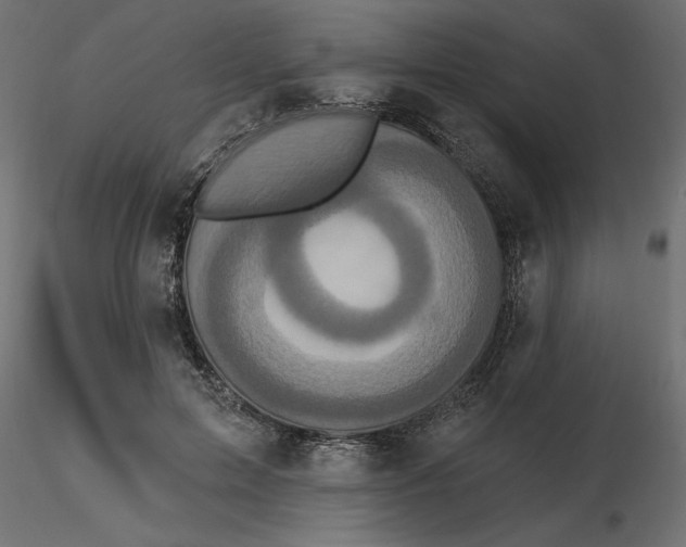 X0000116570599200912311955