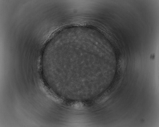 X0000116570600200912311955