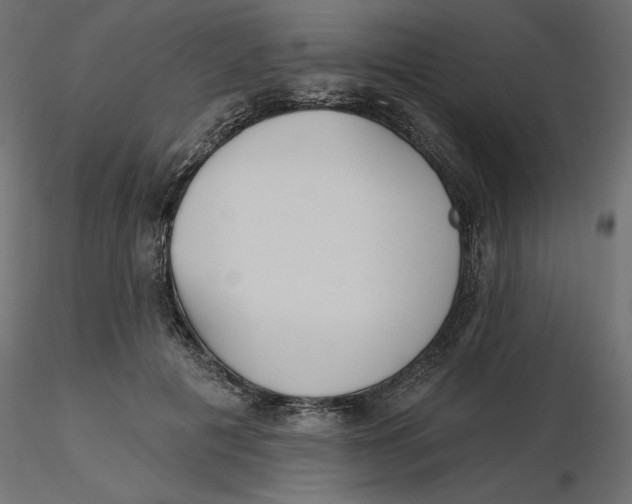 X0000116570601200912311955