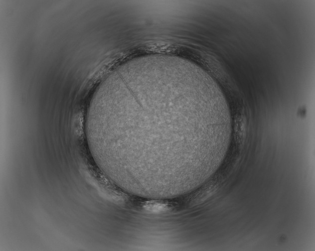 X0000116570602200912311955