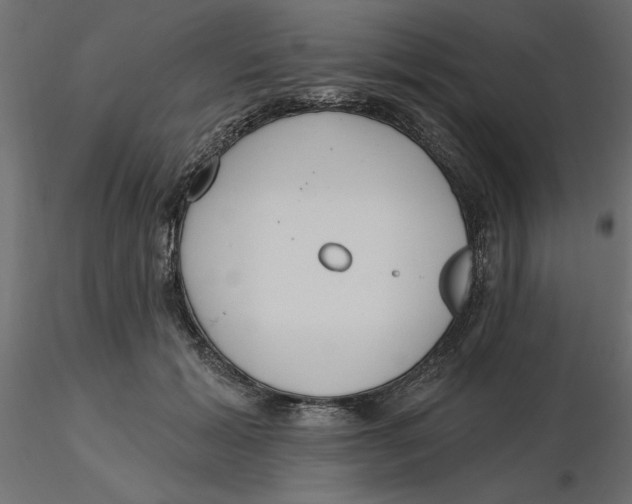 X0000116570605200912311955