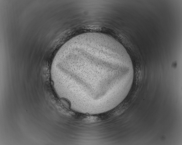 X0000116570609200912311955