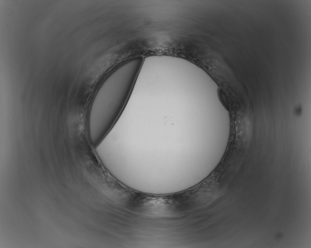 X0000116570611200912311955