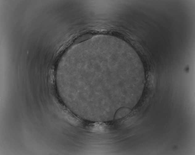 X0000116570612200912311955