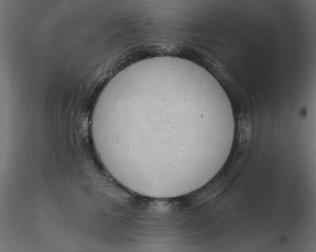 X0000116570613200912311955