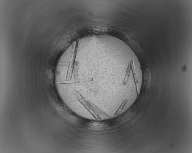 X0000116570614200912311955