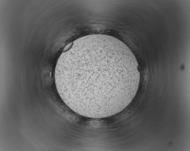 X0000116570615200912311955