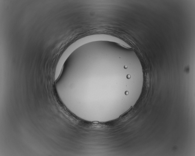 X0000116570617200912311955