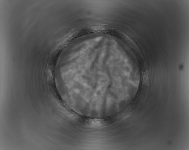 X0000116570618200912311955