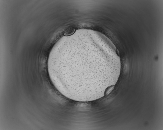 X0000116570619200912311955