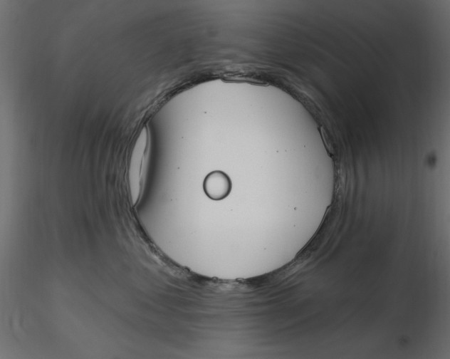 X0000116570621200912311955