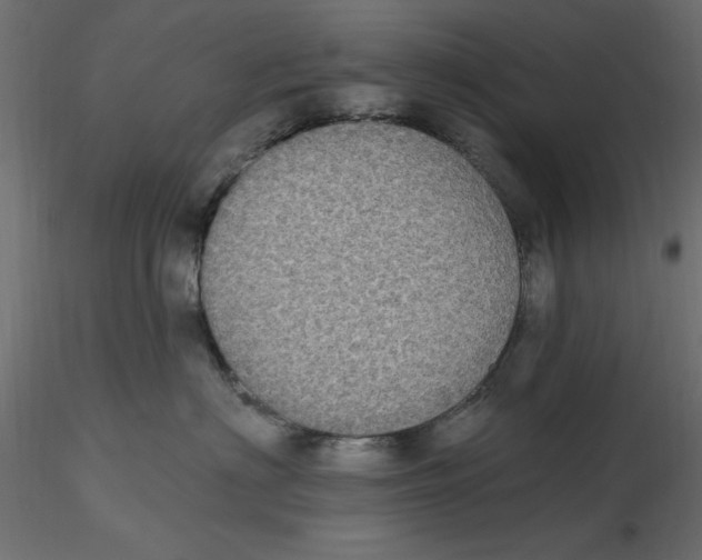 X0000116570622200912311955