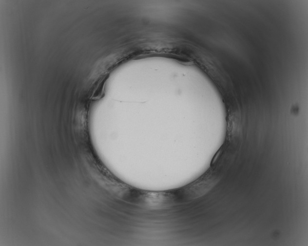 X0000116570623200912311955