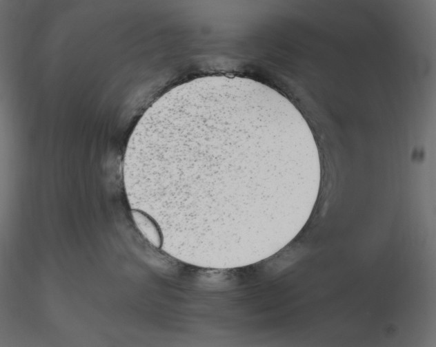 X0000116570624200912311955