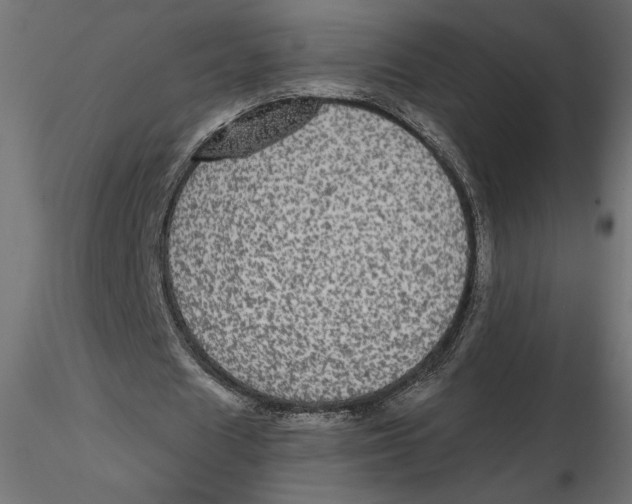 X0000116570625200912311954