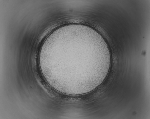 X0000116570626200912311954