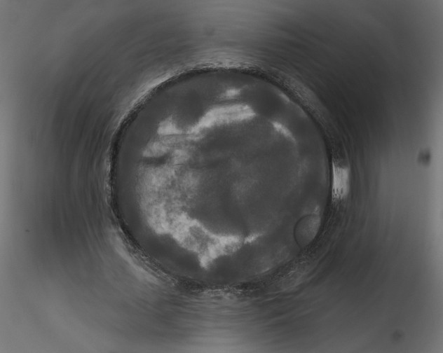 X0000116570627200912311954