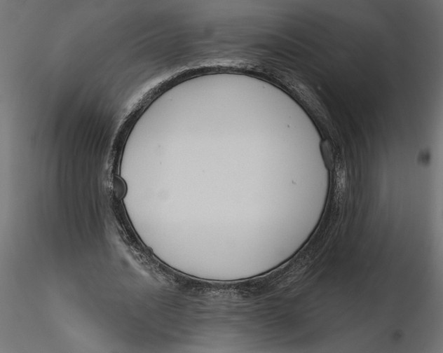 X0000116570628200912311954