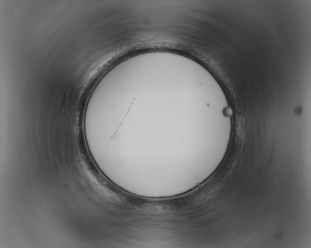 X0000116570629200912311954