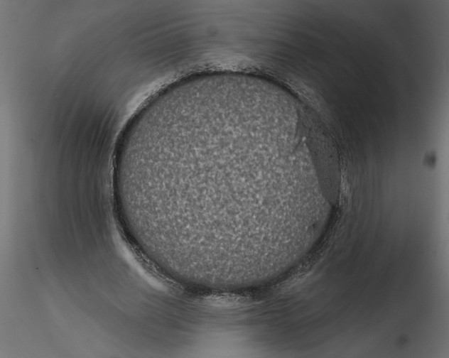 X0000116570630200912311954