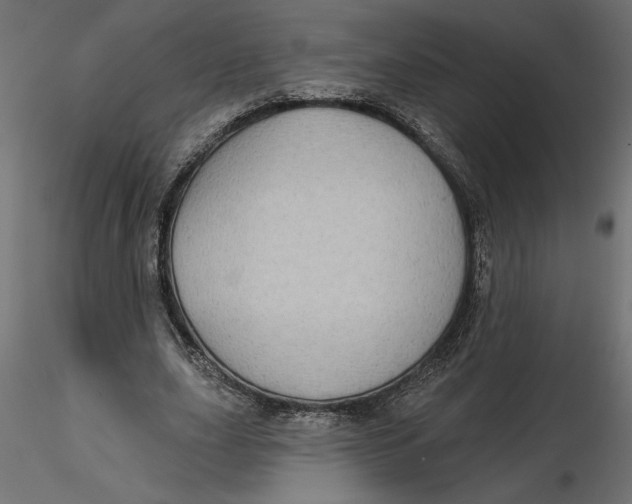 X0000116570631200912311954