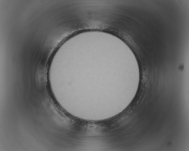 X0000116570632200912311954