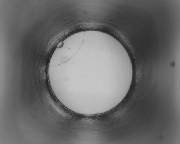 X0000116570633200912311954